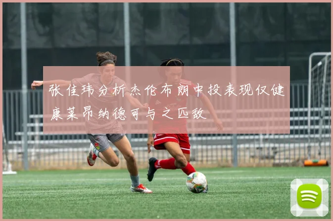 张佳玮分析杰伦布朗中投表现仅健康莱昂纳德可与之匹敌