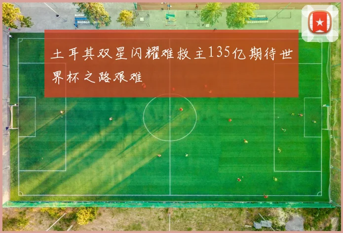 土耳其双星闪耀难救主135亿期待世界杯之路艰难