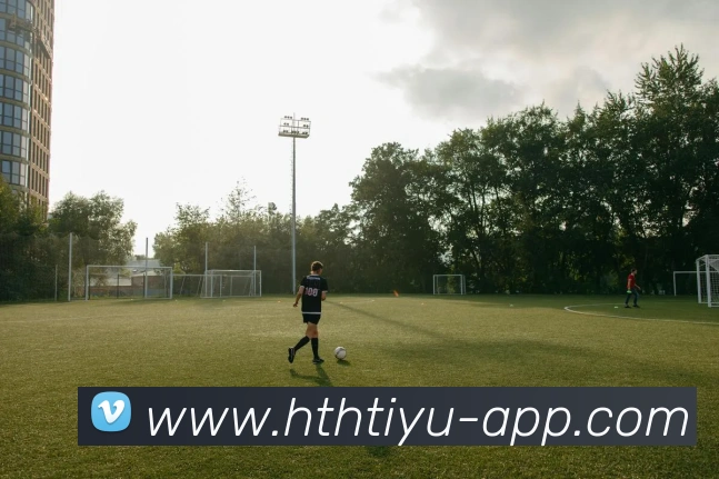 华体会体育平台生态图